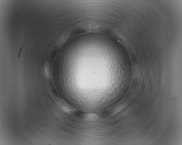 X0000071330287200607071640