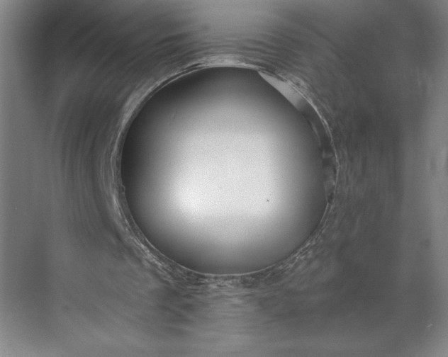 X0000071330289200607071639