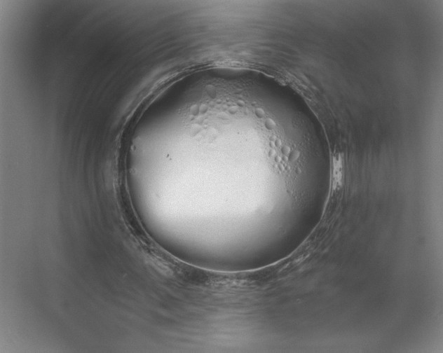 X0000071330291200607071639