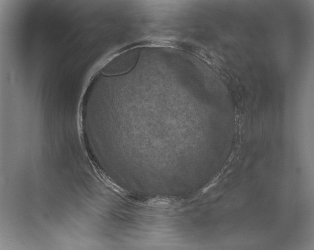 X0000071330294200607071639