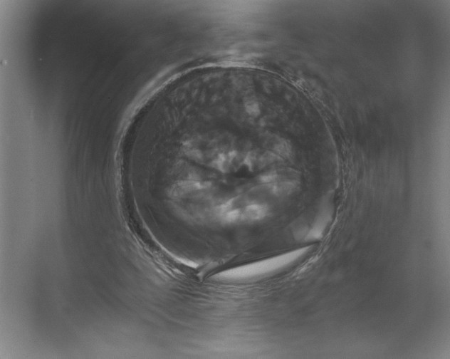 X0000071330295200607071639