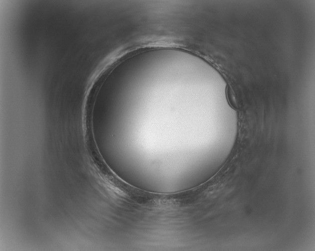 X0000071330296200607071639