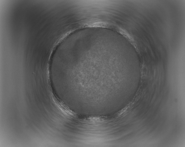 X0000071330298200607071639