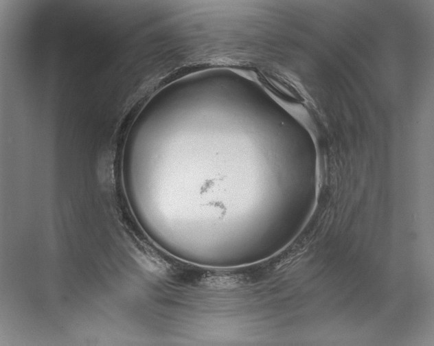 X0000071330299200607071639