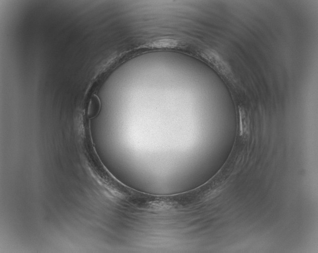 X0000071330300200607071639