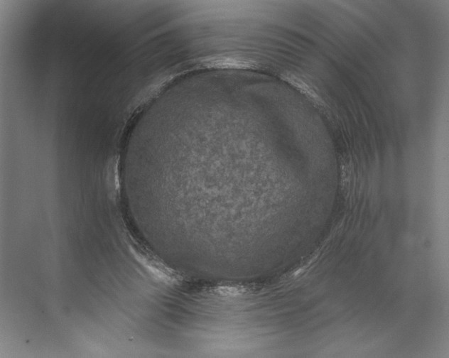 X0000071330302200607071639