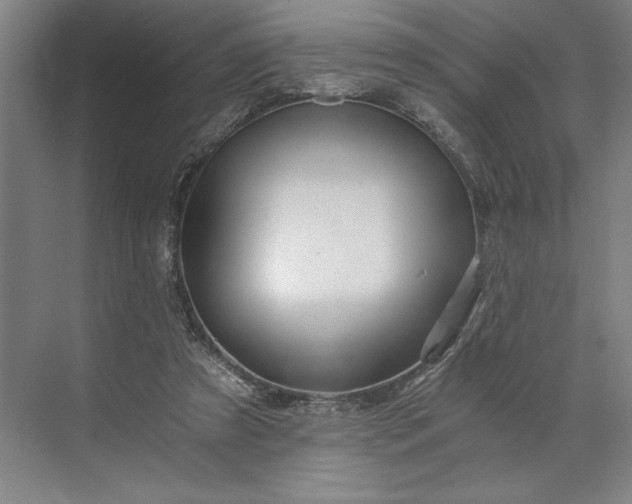 X0000071330305200607071639