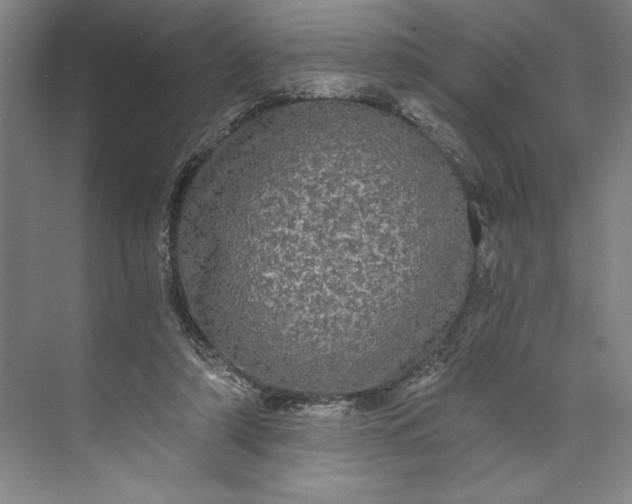 X0000071330306200607071639