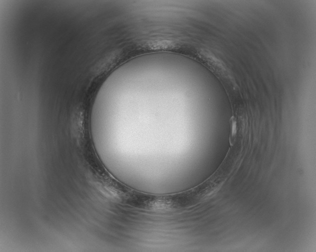 X0000071330308200607071639