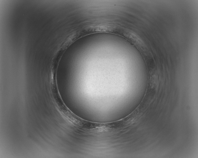 X0000071330310200607071639