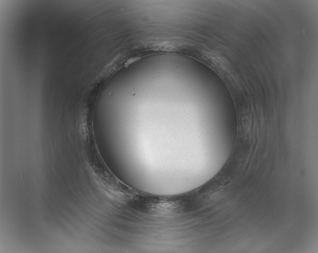 X0000071330312200607071639