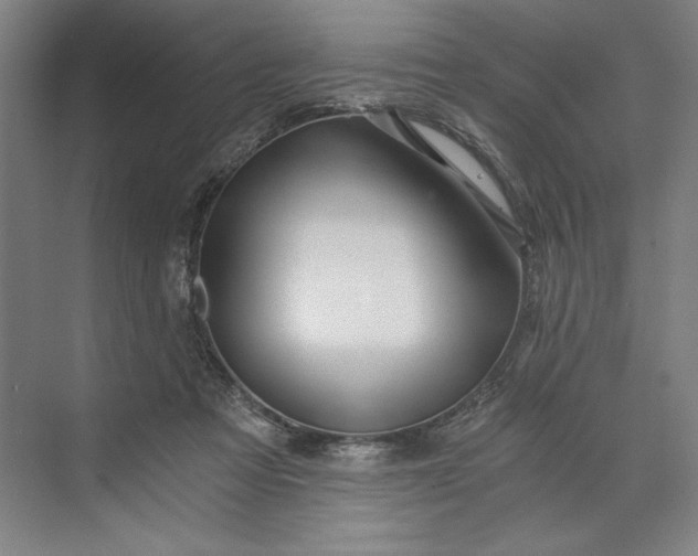 X0000071330313200607071639