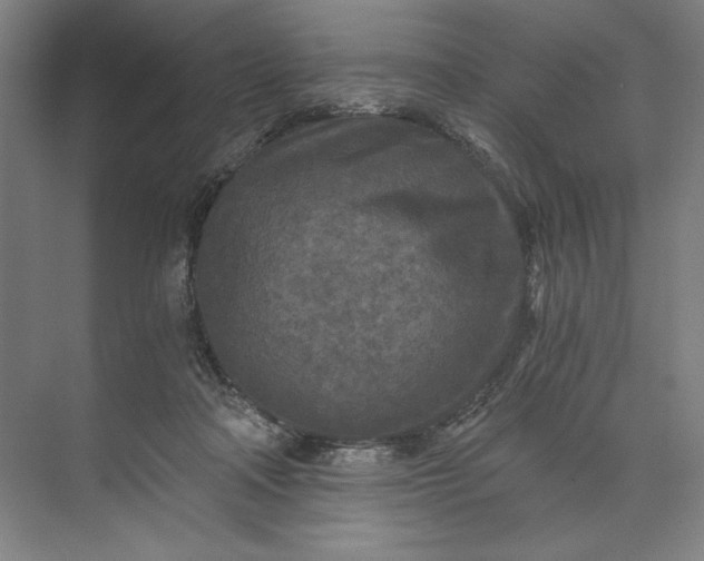 X0000071330314200607071639