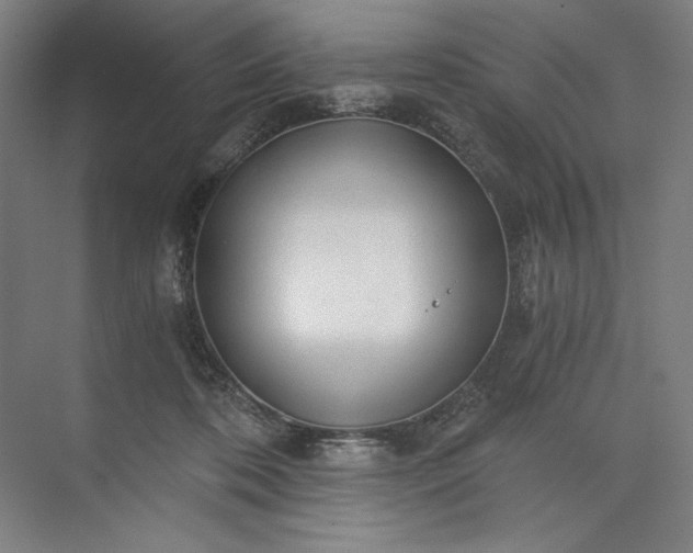 X0000071330316200607071639