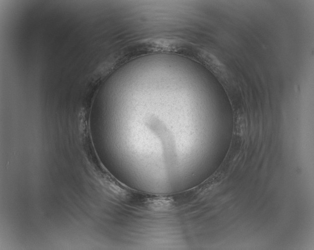 X0000071330318200607071639