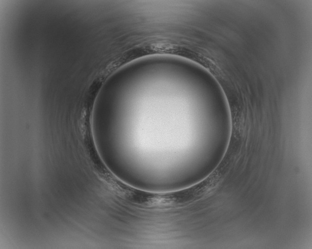 X0000071330319200607071639