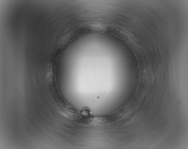 X0000071330320200607071639