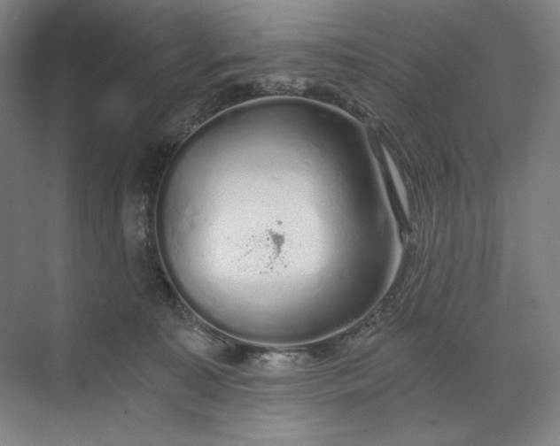 X0000071330323200607071639