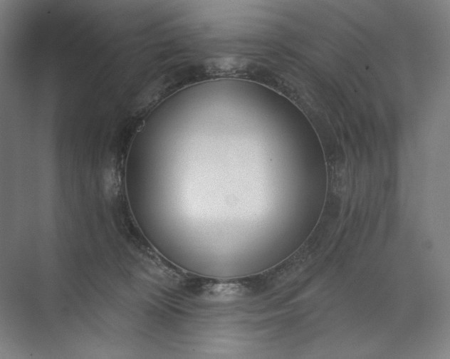 X0000071330324200607071639