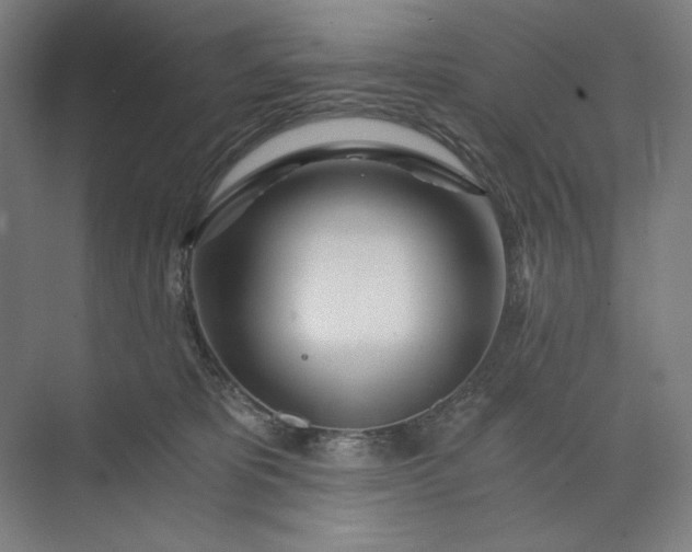 X0000071330325200607071639