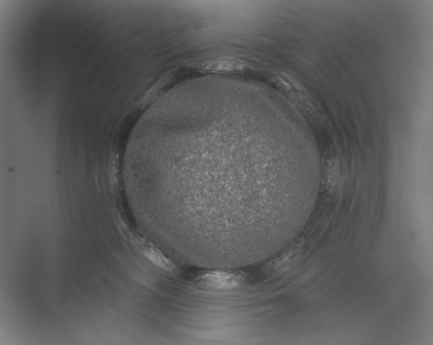 X0000071330326200607071639