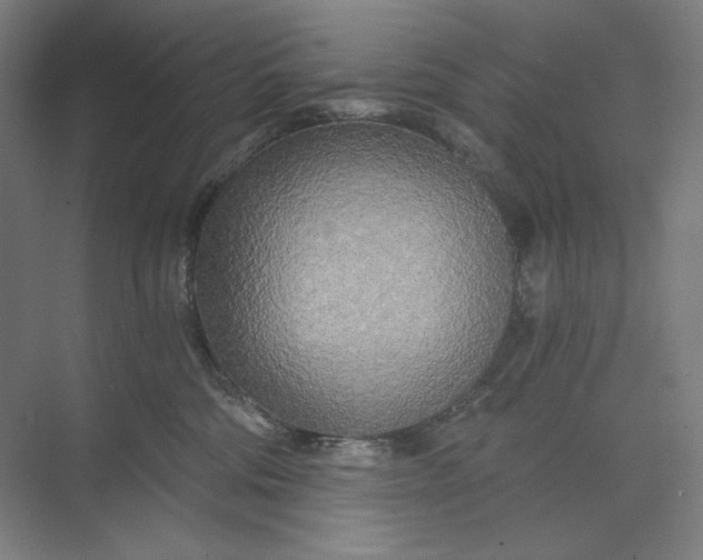 X0000071330330200607071639