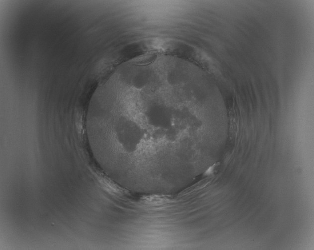 X0000071330331200607071639