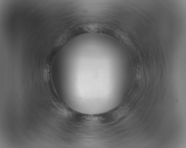 X0000071330332200607071639