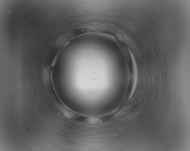 X0000071330333200607071639