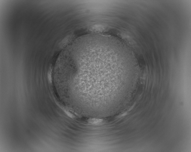 X0000071330334200607071639