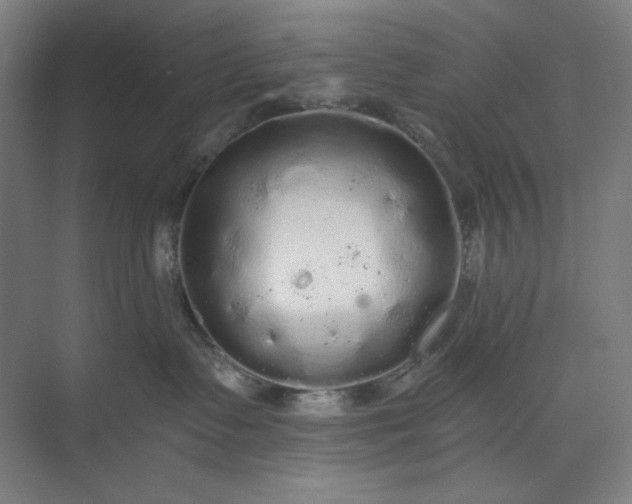 X0000071330335200607071639