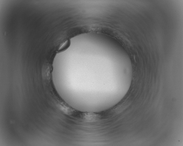 X0000071330336200607071639