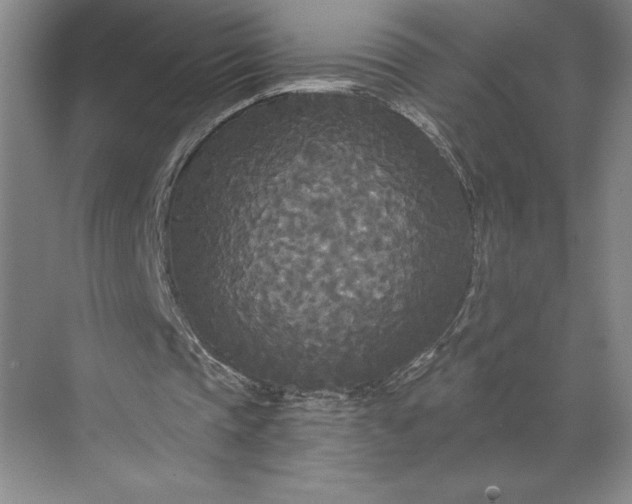 X0000071330337200607071638