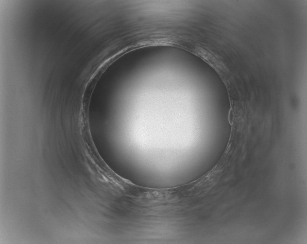 X0000071330338200607071638