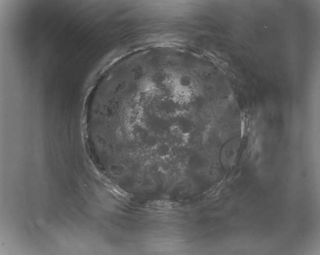 X0000071330339200607071638