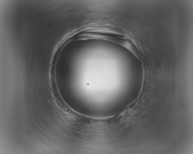 X0000071330340200607071638