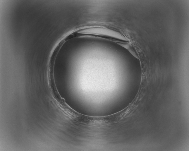 X0000071330342200607071638