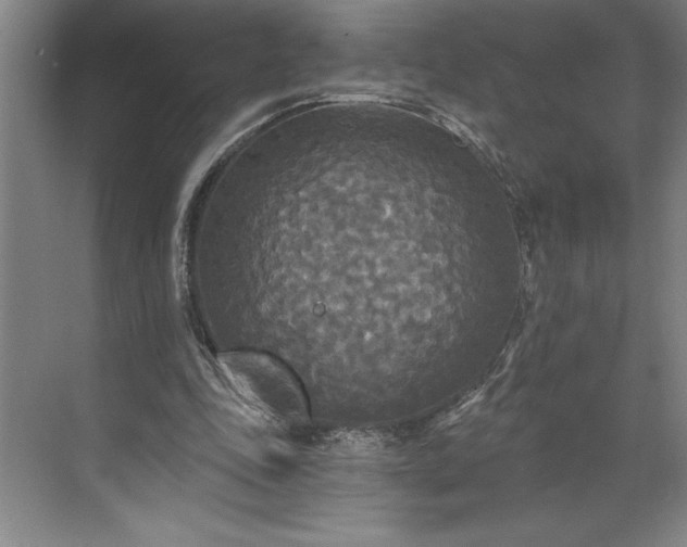 X0000071330343200607071638