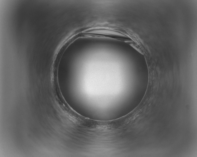 X0000071330344200607071638