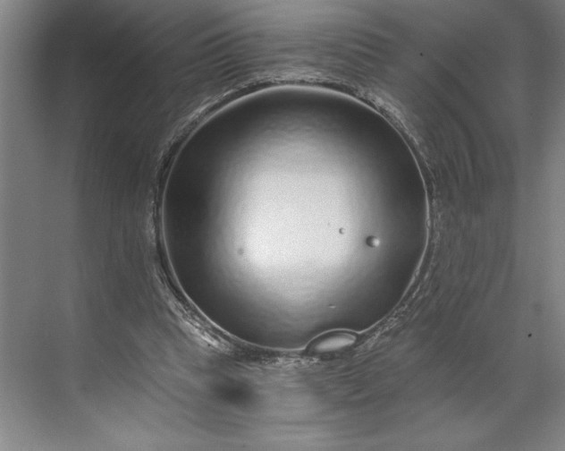 X0000071330345200607071638