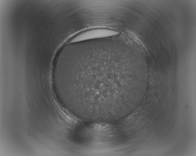 X0000071330346200607071638