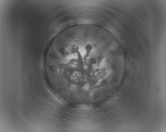 X0000071330347200607071638