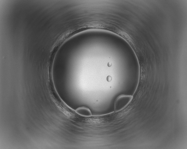 X0000071330349200607071638