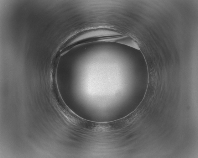 X0000071330350200607071638