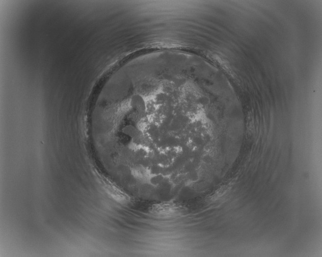 X0000071330351200607071638