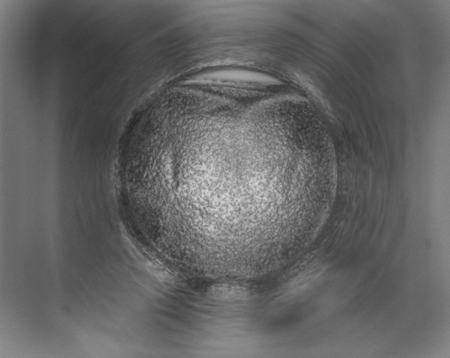 X0000071330354200607071638