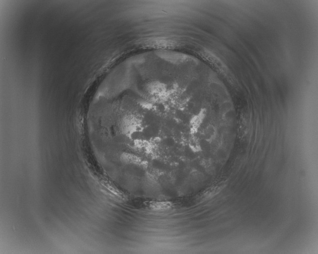 X0000071330355200607071638