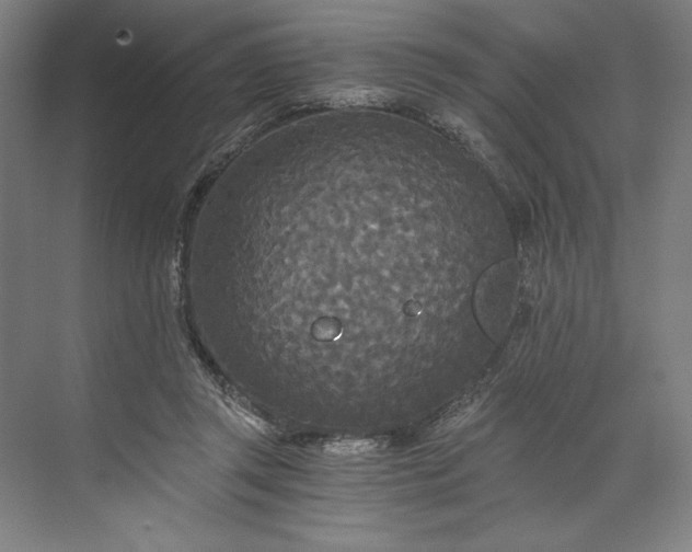 X0000071330357200607071638