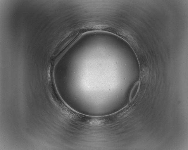 X0000071330358200607071638