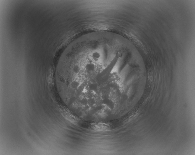 X0000071330359200607071638